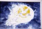 scan1405190007_small.jpg
