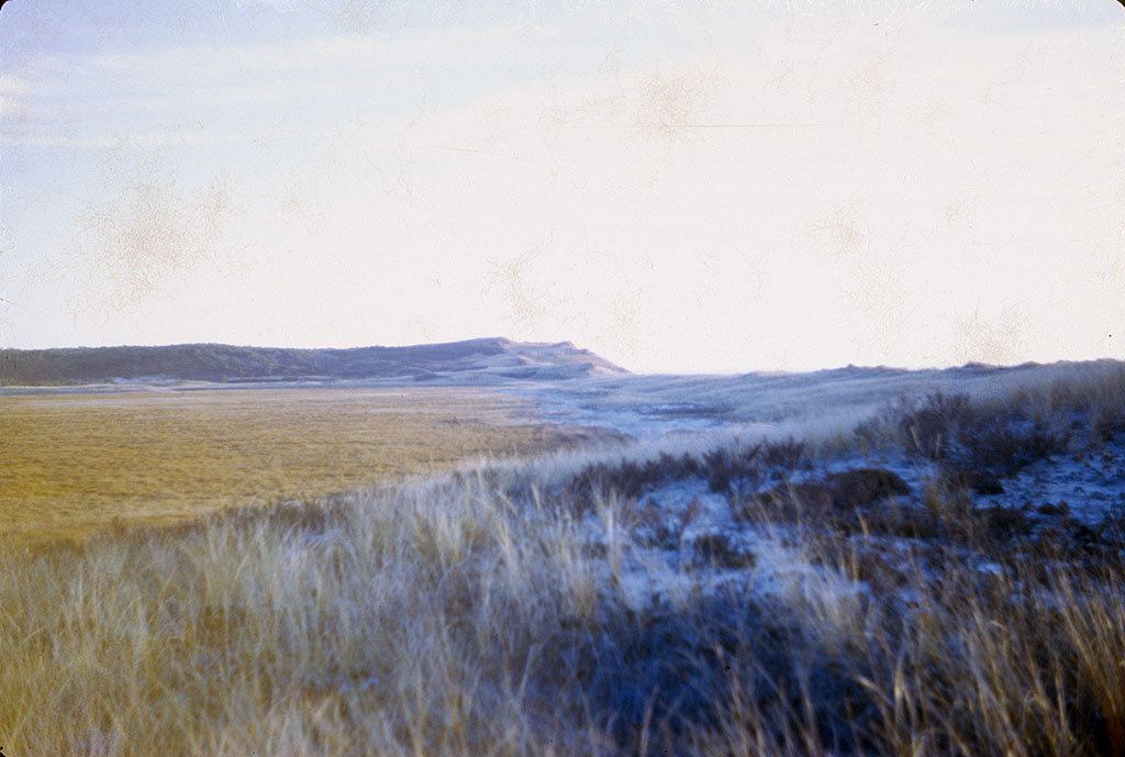 scan14060100073.jpg