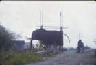 photo5_small.jpg